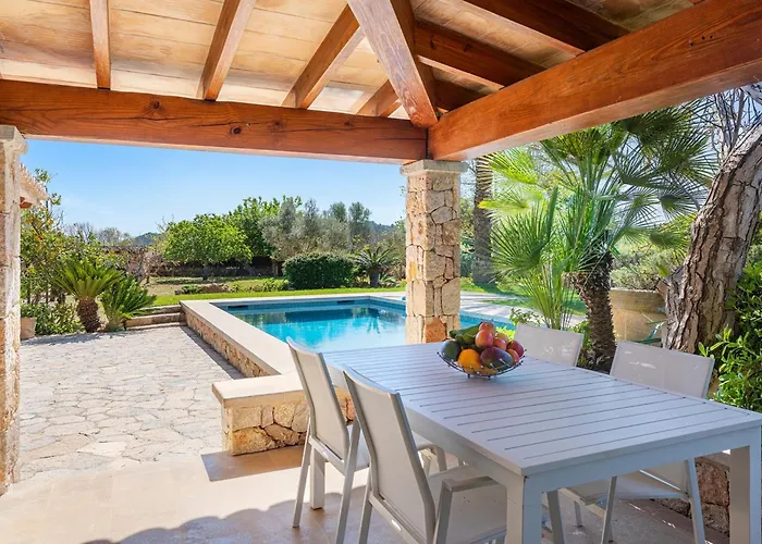 Collet Willa Pollensa